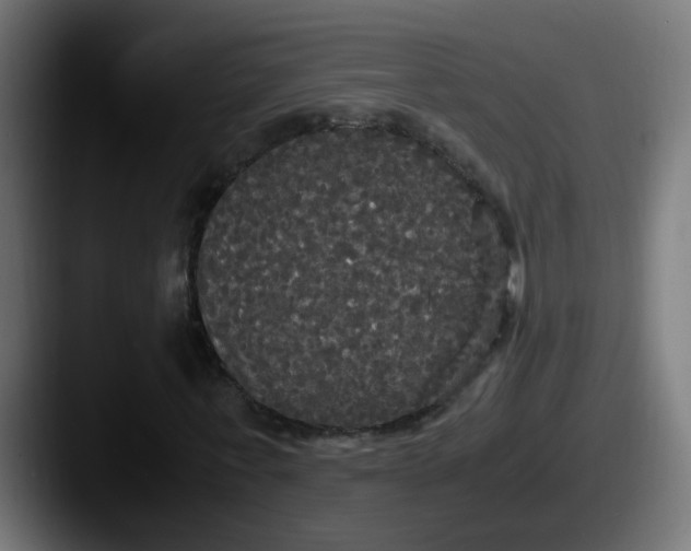 X0000087540771200705181048