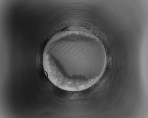 X0000087540772200705181048