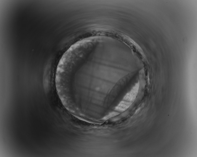 X0000087540775200705181048