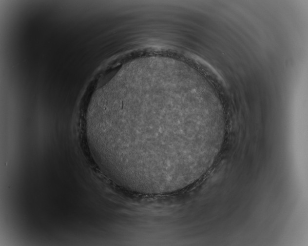 X0000087540776200705181048