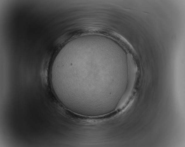 X0000087540777200705181048