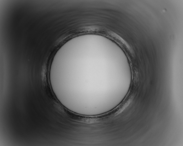 X0000087540778200705181048