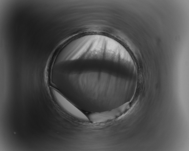 X0000087540779200705181048