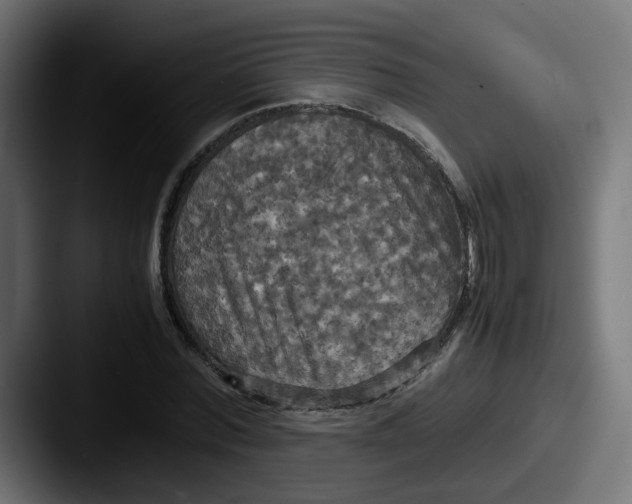 X0000087540780200705181048