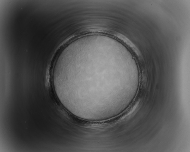 X0000087540782200705181048