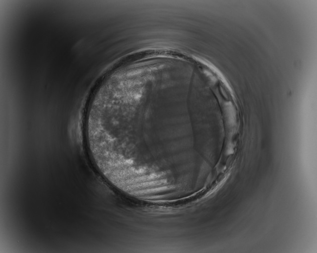 X0000087540783200705181048