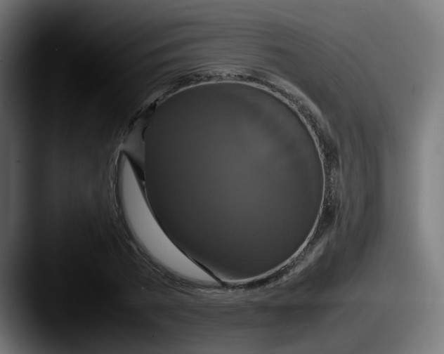 X0000087540785200705181048