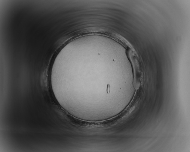 X0000087540786200705181048