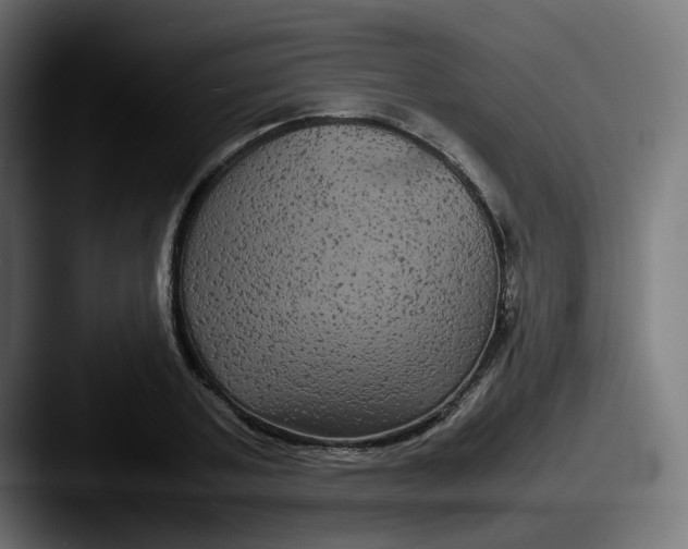 X0000087540787200705181048