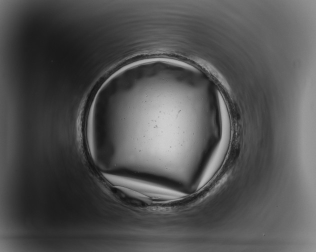 X0000087540789200705181048