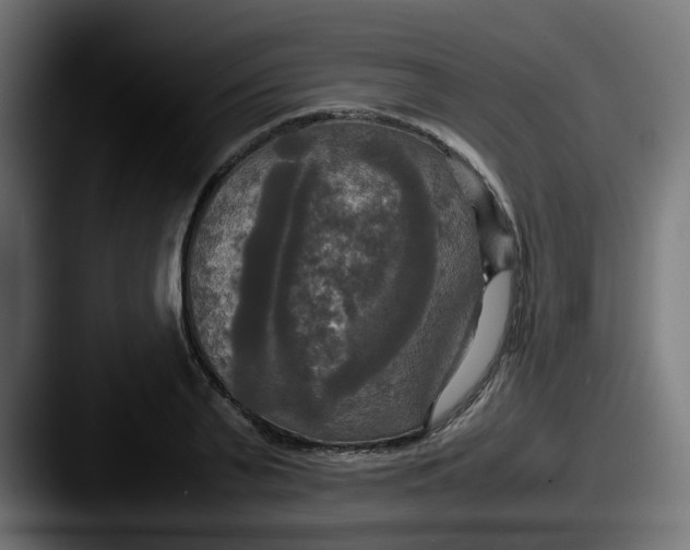 X0000087540791200705181048