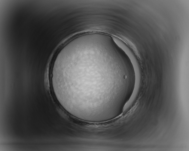 X0000087540792200705181048