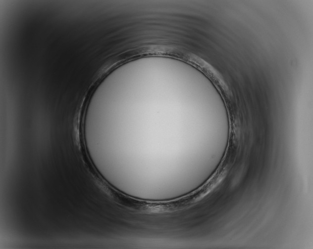 X0000087540794200705181048