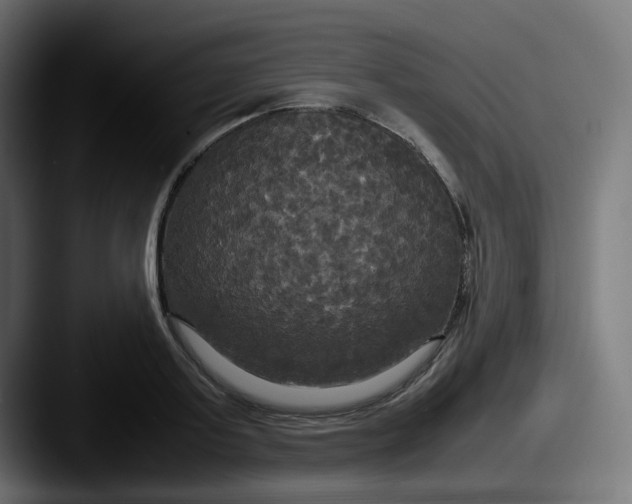 X0000087540795200705181047