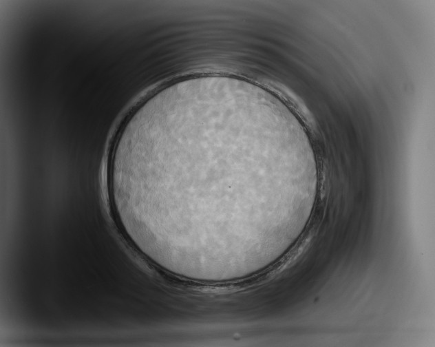 X0000087540796200705181047