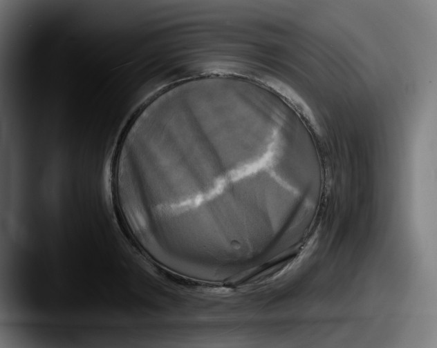 X0000087540798200705181047