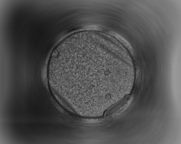 X0000087540800200705181047