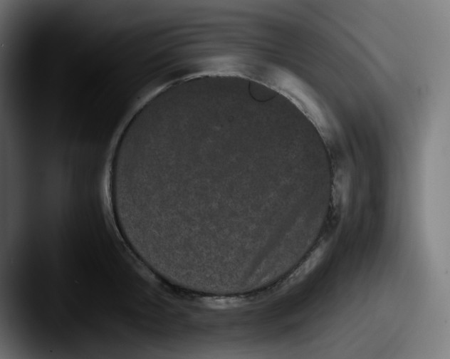 X0000087540804200705181047