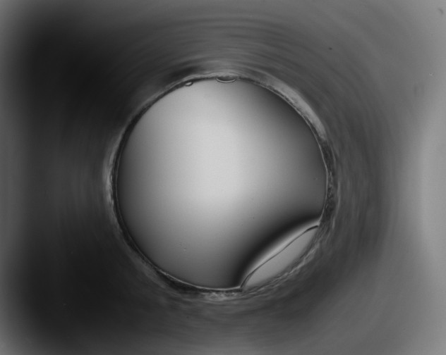 X0000087540805200705181047