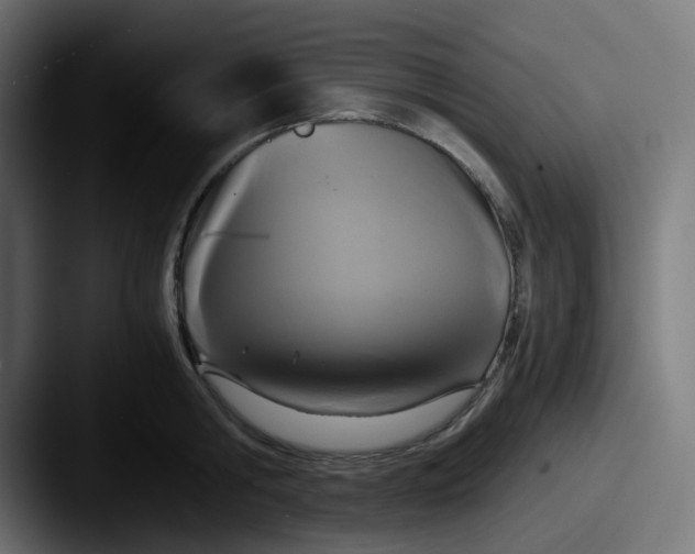 X0000087540806200705181047