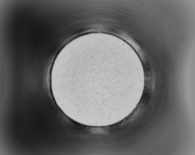 X0000087540807200705181047