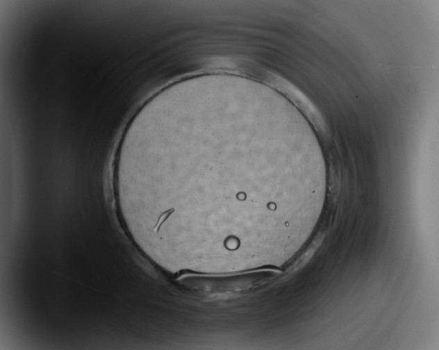 X0000087540808200705181047