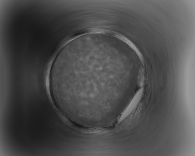 X0000087540811200705181047