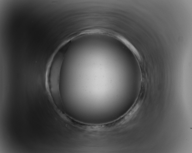 X0000087540813200705181047