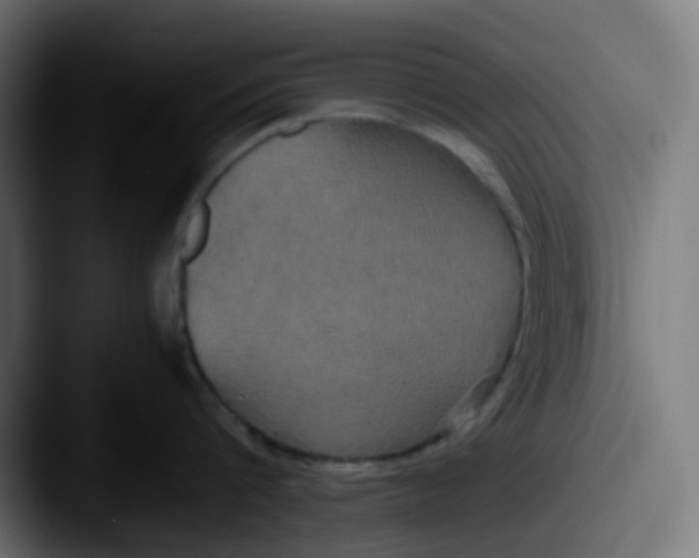 X0000087540816200705181047