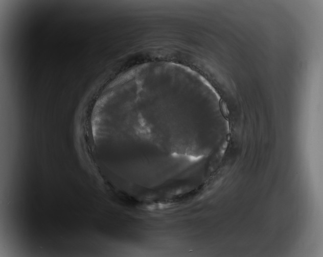 X0000087540817200705181047