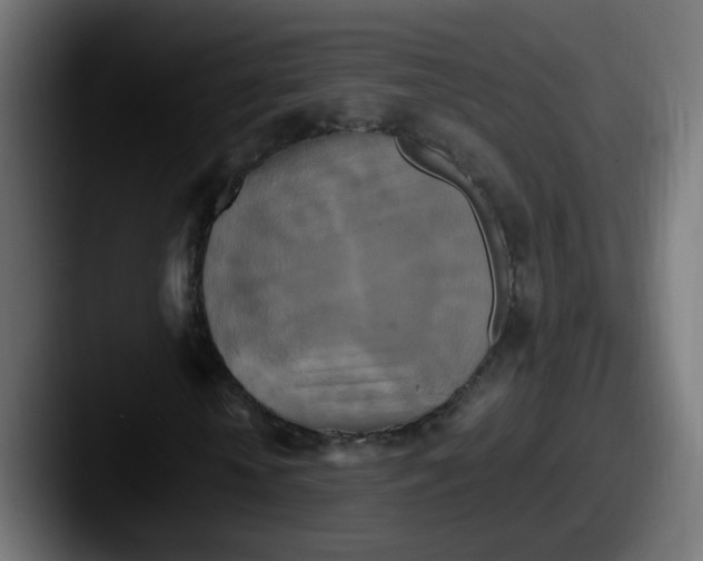 X0000087540818200705181047