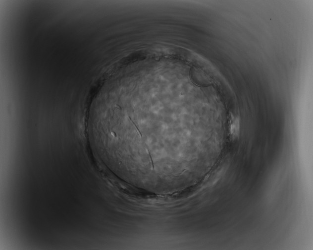 X0000087540819200705181047