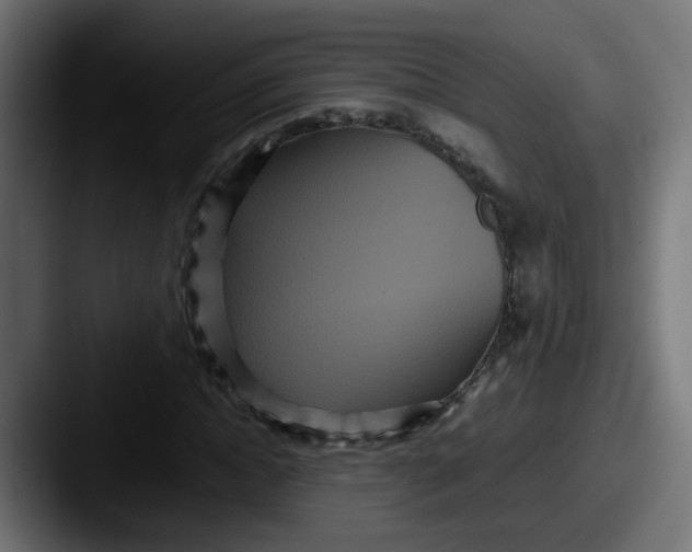 X0000087540822200705181047