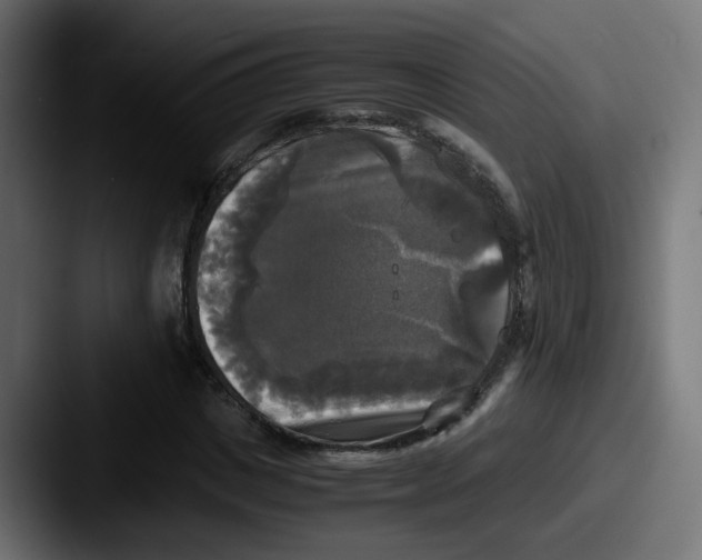 X0000087540825200705181047