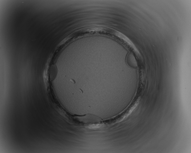 X0000087540826200705181047