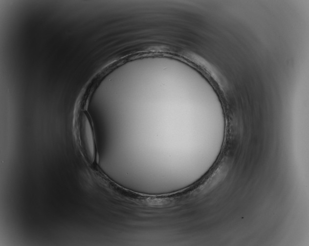 X0000087540827200705181047