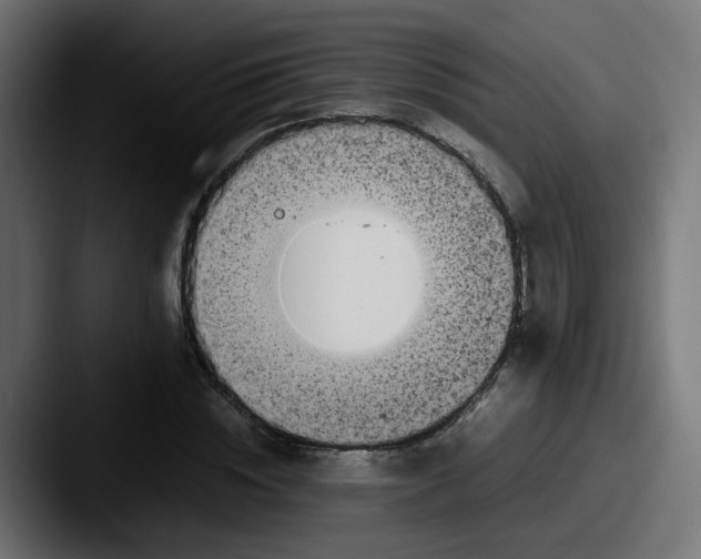 X0000087540828200705181047