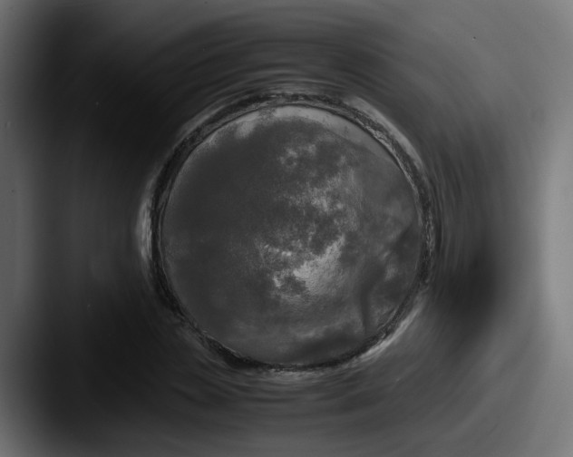 X0000087540829200705181047