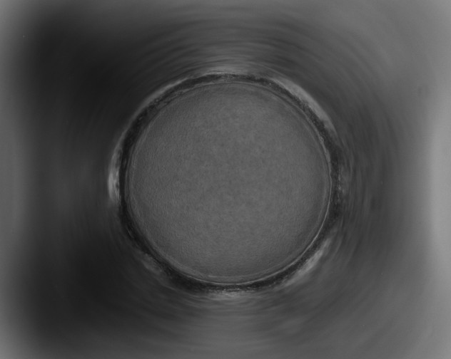 X0000087540830200705181047