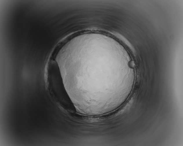 X0000087540831200705181047