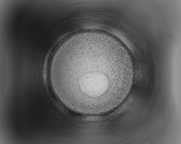 X0000087540832200705181047