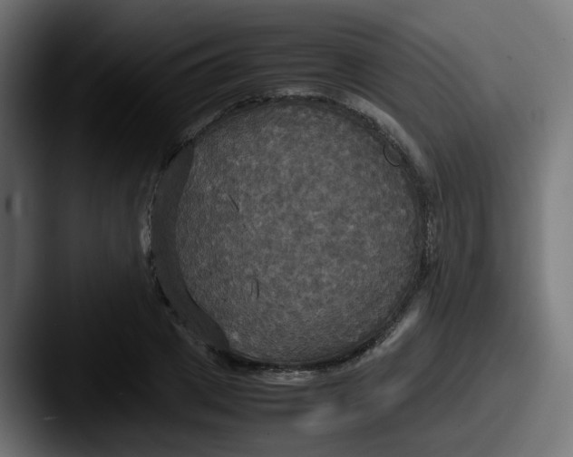 X0000087540833200705181047