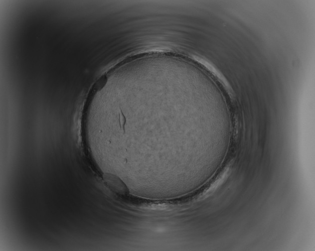 X0000087540834200705181047