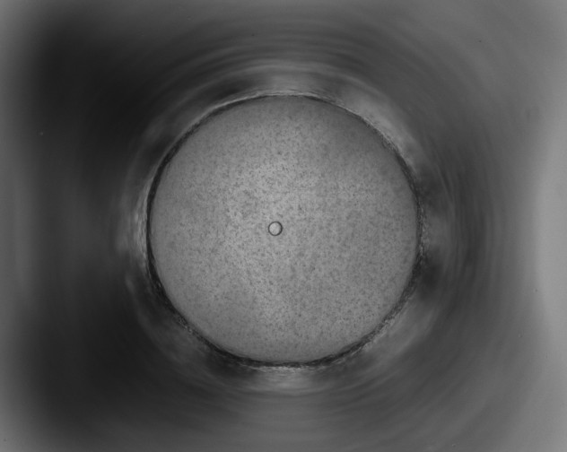 X0000087540836200705181047