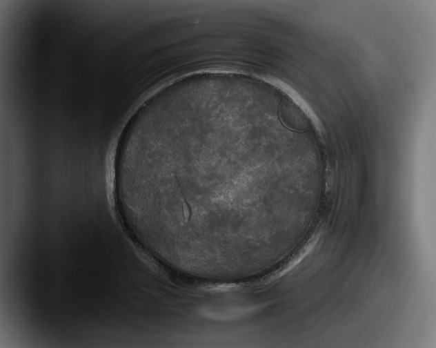 X0000087540837200705181047