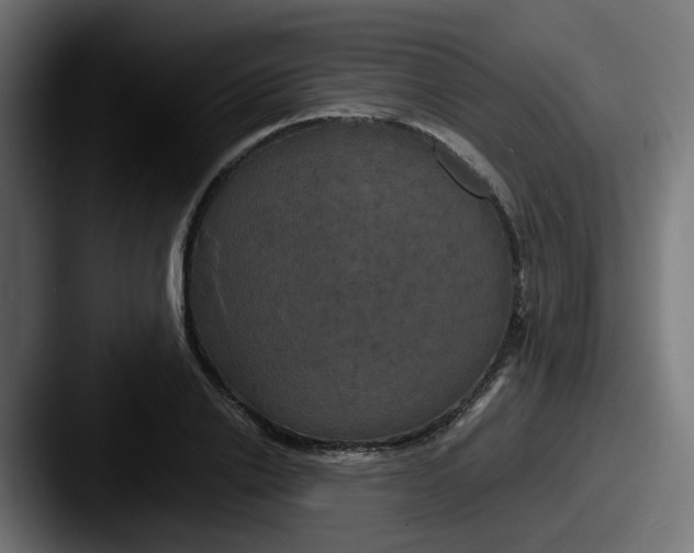 X0000087540838200705181047