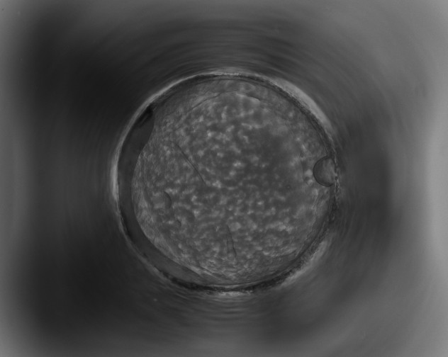 X0000087540839200705181047