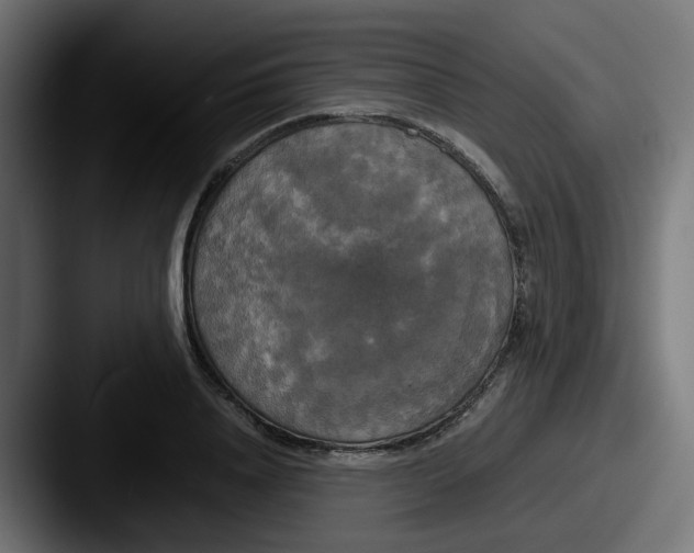 X0000087540840200705181047