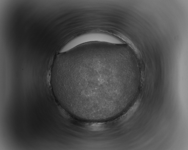 X0000087540841200705181047