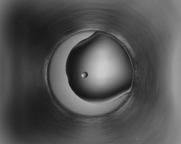 X0000087540842200705181047